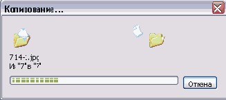   Windows XP
