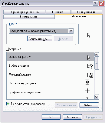   Windows XP
