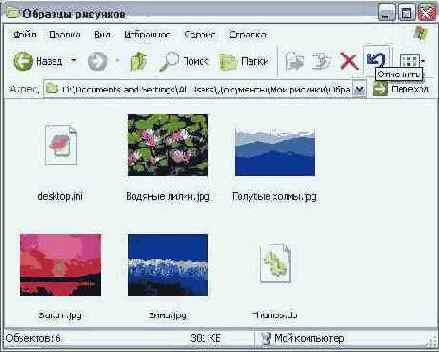   Windows XP

