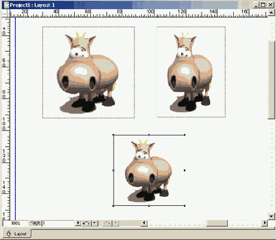   QuarkXPress 6
