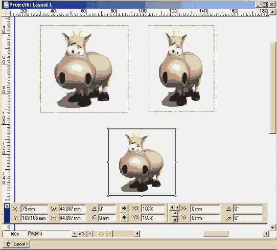   QuarkXPress 6

