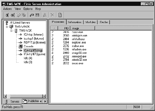  Citrix Metaframe  Windows 2000 Termanal Services
