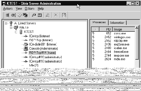  Citrix Metaframe  Windows 2000 Termanal Services
