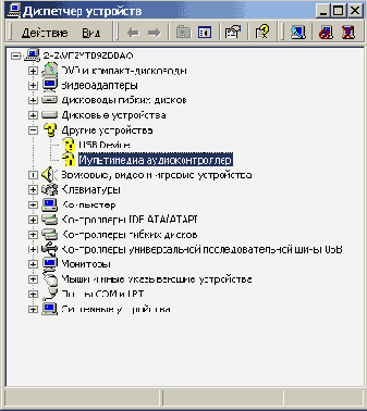    Windows 2000
