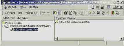    Windows 2000
