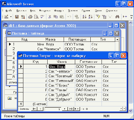 
Microsoft
Access     
