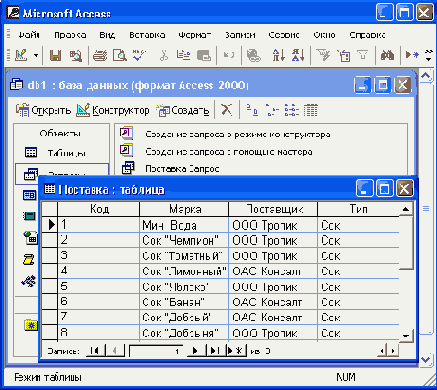 
Microsoft
Access     
