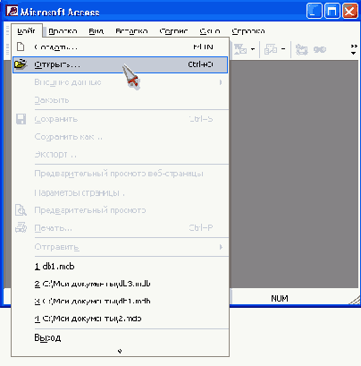 

Access    
