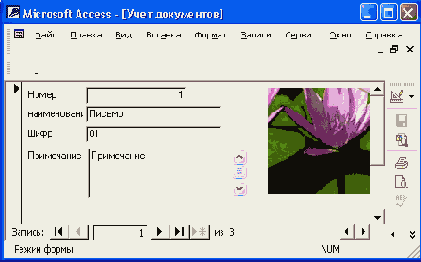 

 Word  ,    Access
